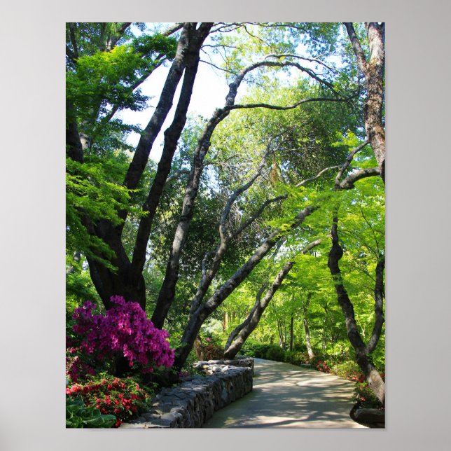 Botanical Gardens, Path, Maple Trees Poster (Front)