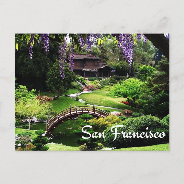 Botanical Gardens, San Francisco California, USA Postcard (Front)