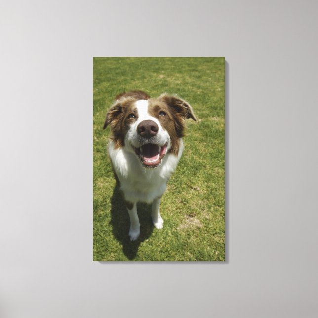 Botanical Gardens, Sydney, New South Wales, 2 Canvas Print (Front)