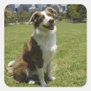 Botanical Gardens, Sydney, New South Wales, 3 Square Sticker