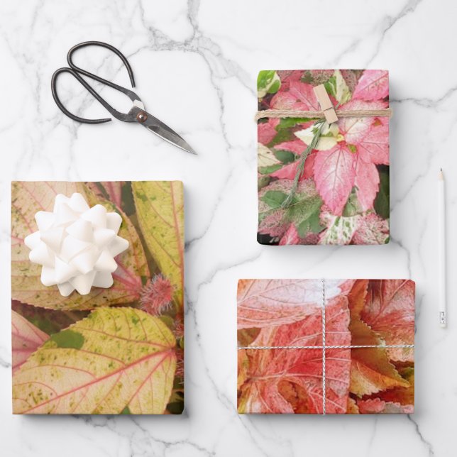 Botanical Gift Wrapping Paper Sheets (Front)