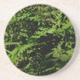 Botanical green Forest Floor Ferns Coaster