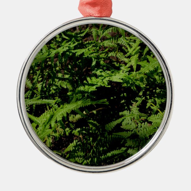Botanical green Forest Floor Ferns Metal Tree Decoration (Front)