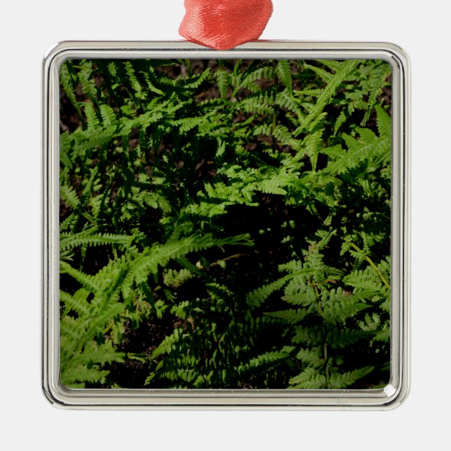 Botanical green Forest Floor Ferns Metal Tree Decoration (Front)