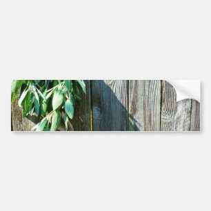 Botanical green herbs distressed wood grain bumper sticker