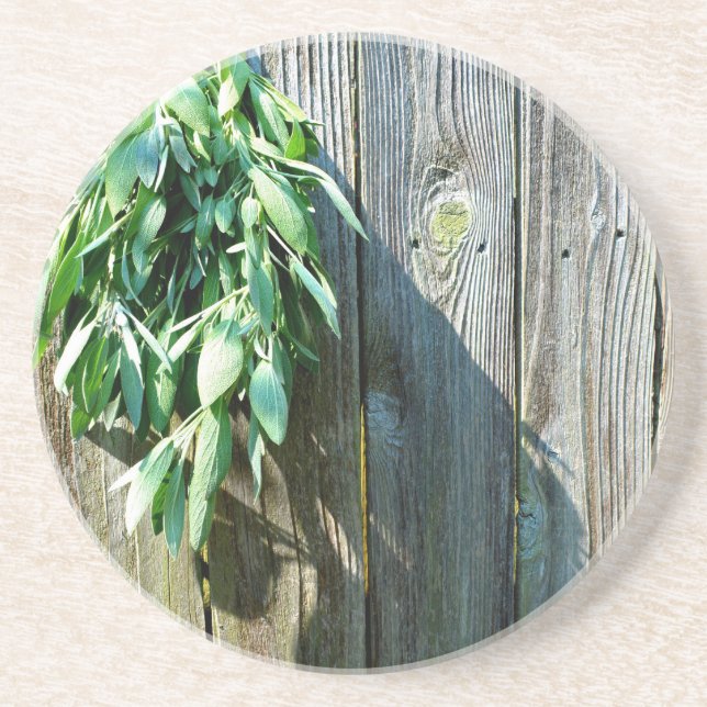 Botanical green herbs distressed wood grain coaster (Front)