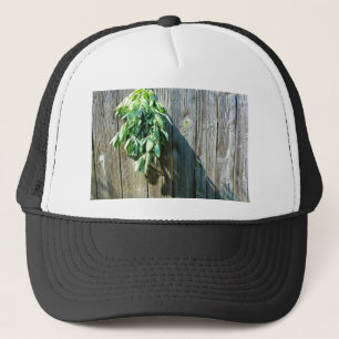 Botanical green herbs distressed wood grain trucker hat
