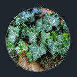 Botanical green Ivy and field stone Dartboard<br><div class="desc">Walk down the garden path - ivy and fieldstone wall</div>