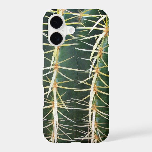 Botanical Green Sphere Cactus (Back)