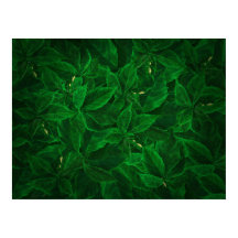 Botanical Greenery Leaf Pile Poster