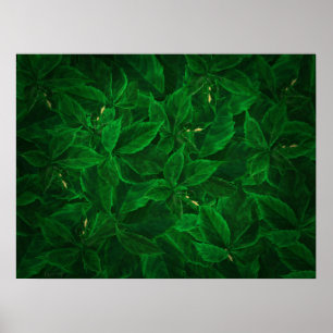 Botanical Greenery Leaf Pile Poster