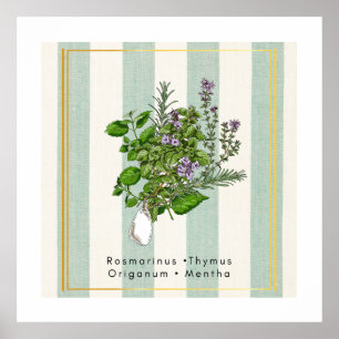 Botanical Herb Garden Medley - Sage Kitchen Art Poster