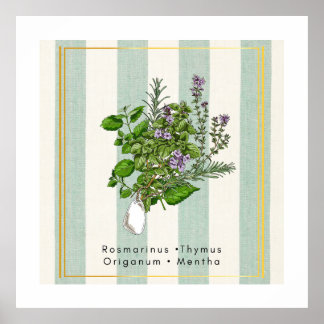 Botanical Herb Garden Medley - Sage Kitchen Art Poster
