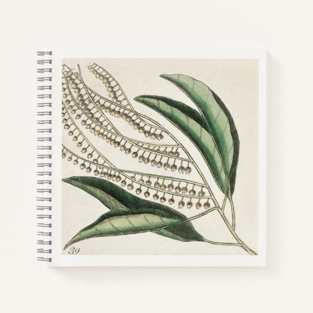 Botanical Illustration 18th Century Art Notebook (Front)