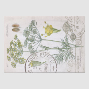 Botanical Illustration Dill French Postmark Craft  Tissue Paper