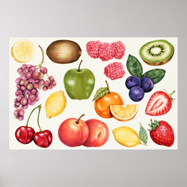 Botanical Illustration Poster (Front)