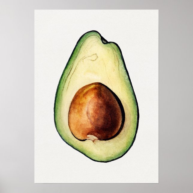  Botanical Illustration Poster (Front)