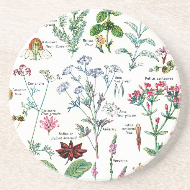 Botanical Illustrations Coaster (Front)
