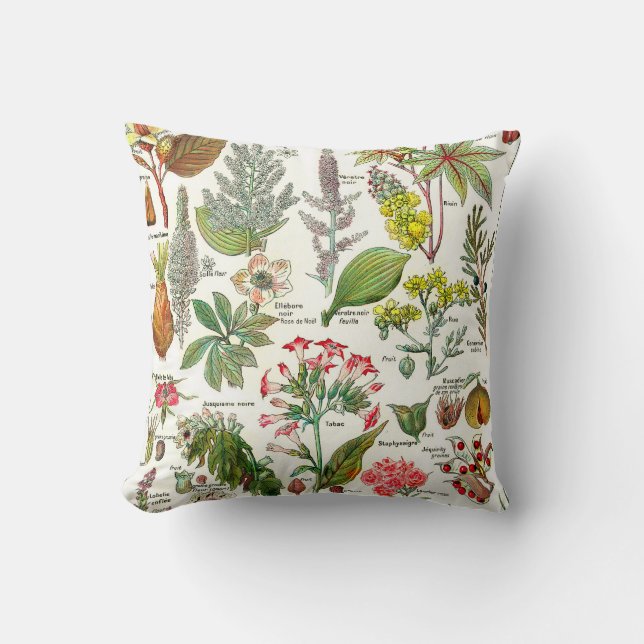 Botanical Illustrations Cushion (Front)