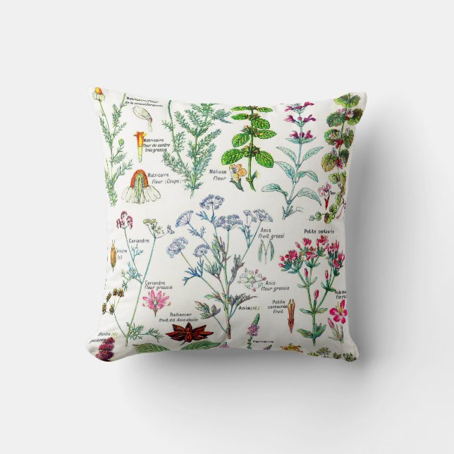 Botanical Illustrations-Larousse Plants Cushion (Front)