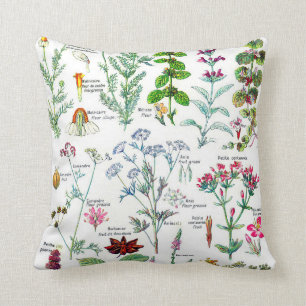 Botanical Illustrations-Larousse Plants Cushion
