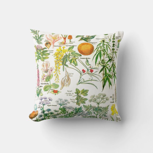 Botanical Illustrations-Larousse Plants Cushion (Front)