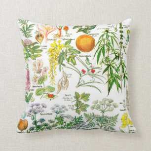 Botanical Illustrations-Larousse Plants Cushion