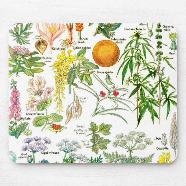 Botanical Illustrations - Larousse Plants Mouse Mat (Front)