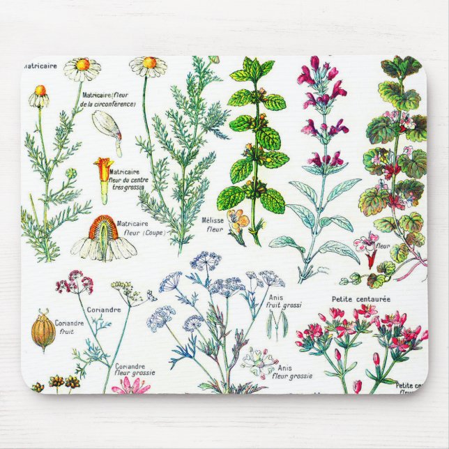Botanical Illustrations - Larousse Plants Mouse Mat (Front)