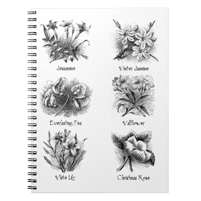 Botanical illustrations notebook (Front)