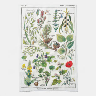 Botanical Illustrations Tea Towel