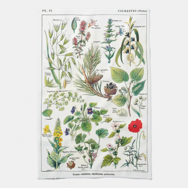 Botanical Illustrations Tea Towel (Vertical)