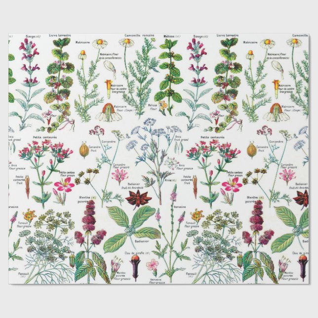 Botanical Illustrations Wrapping Paper (Flat)