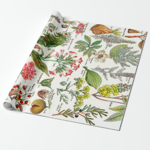 Botanical Illustrations Wrapping Paper