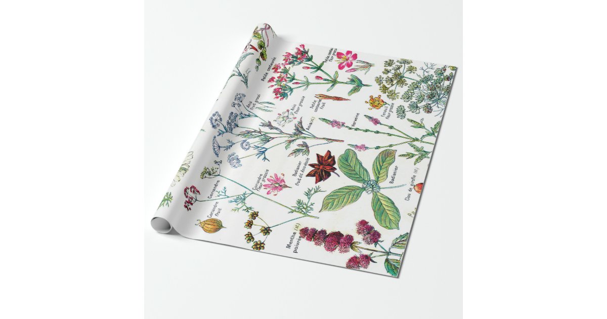 Botanical Illustrations Wrapping Paper Zazzle