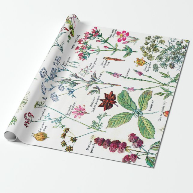 Botanical Illustrations Wrapping Paper (Unrolled)