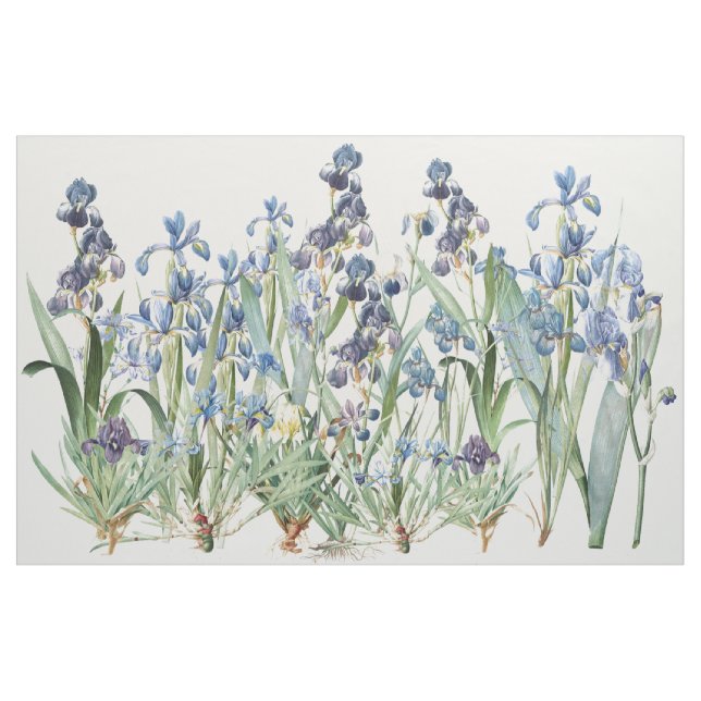 Botanical Iris Flowers Floral Redoute Fabric (Yard)