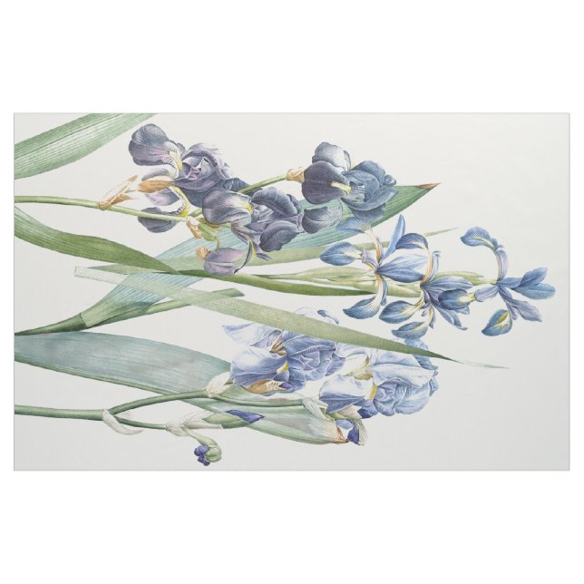 Botanical Iris Flowers Floral Redoute Fabric (Yard)