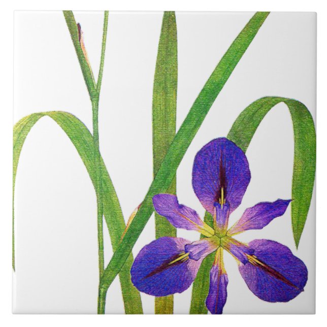 Botanical Iris Flowers Redoute Floral Garden Tile (Front)
