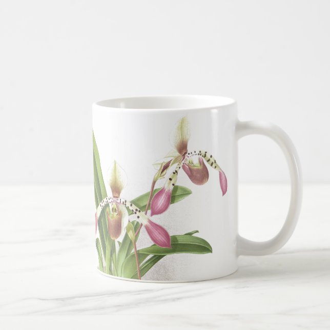 Botanical Ladys Slipper Orchid Flowers Floral Coffee Mug (Right)