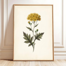 Botanical Ligularia Cottagecore Wall Art