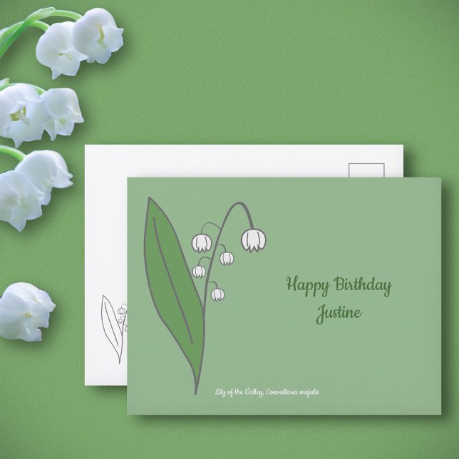 Botanical Lily of the Valley Pastel Flower  Postcard (Botanical Lily of the Valley Postcard)
