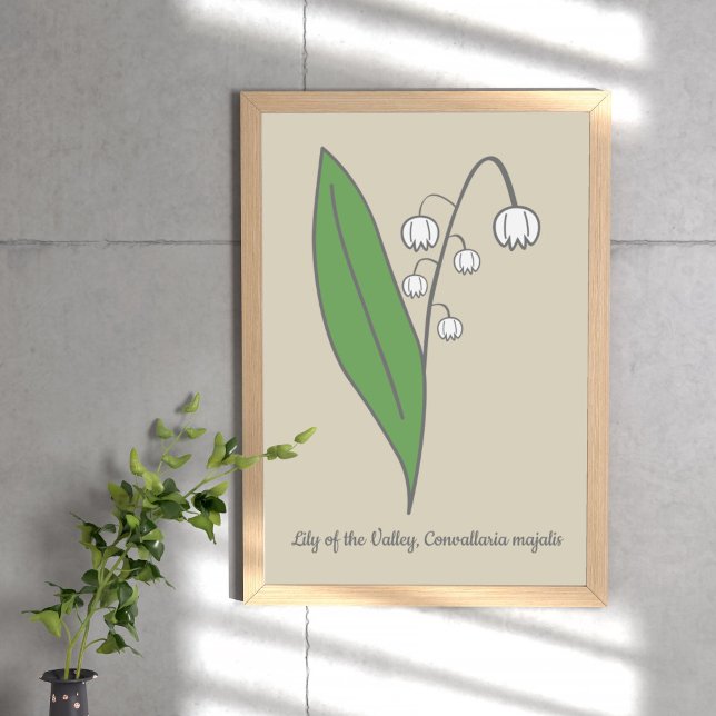 Botanical Lily of the Valley Pastel Flower  Poster (Botanical Lily of the Valley Poster)