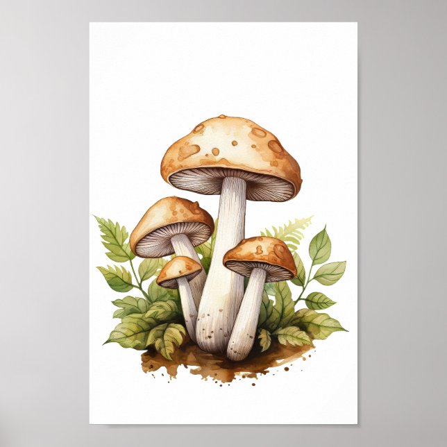 Botanical Mushroom poster, Watercolor Painting Art Poster (Front)