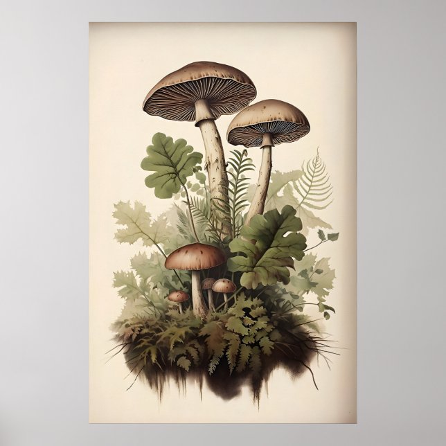 Botanical Mushroom Print, Moss Fern, Vintage Poster (Front)