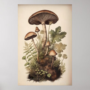 Botanical mushrooms in moss fern, boho woodland poster
