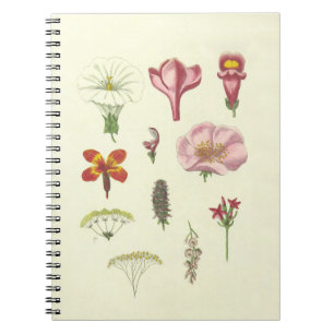 Botanical Notebook
