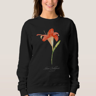 Botanical Painting Of Orange Lily For Flower Sweatshirt