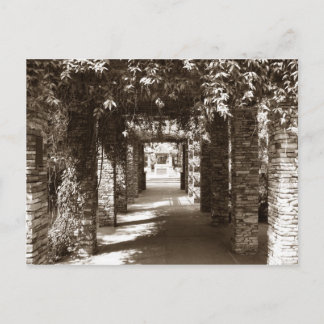 botanical pathway postcard