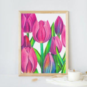 Botanical Pink Tulips Drawing Poster